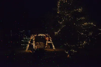 DSC_5816 (Large).JPG